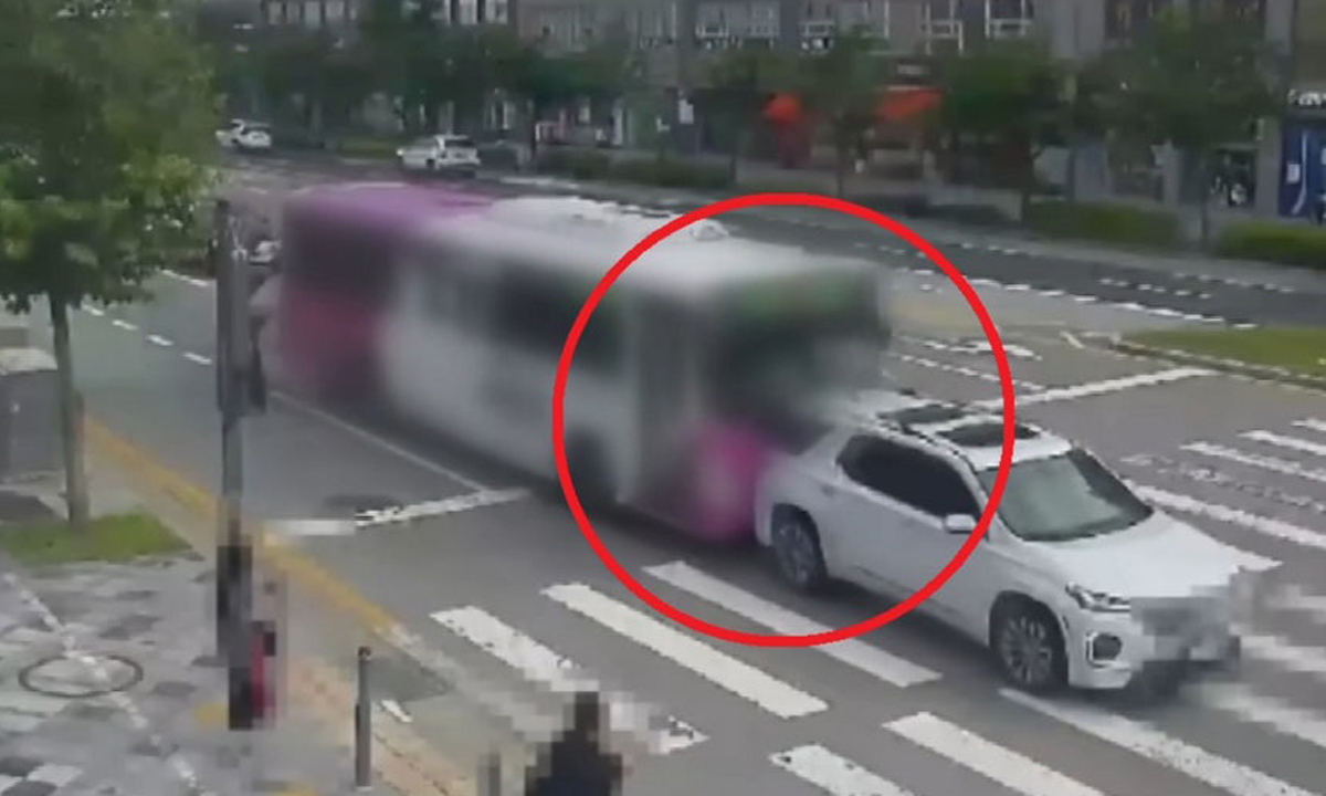 사진 이미지