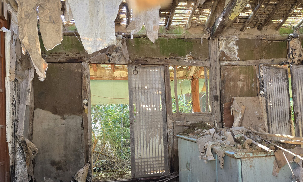 무너진 지붕·잡초 무성 ‘흉물’… 버려진 농촌 빈집 ‘SOS’ [밀착취재]