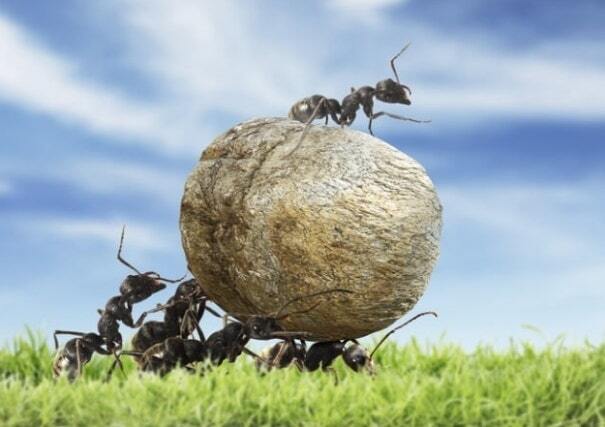 “하루에 380억원 증발”…‘빚투’ 개미들 어쩌나?