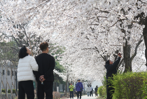 주말 앞두고 전국에 ‘비’…벚꽃 나들이 차질