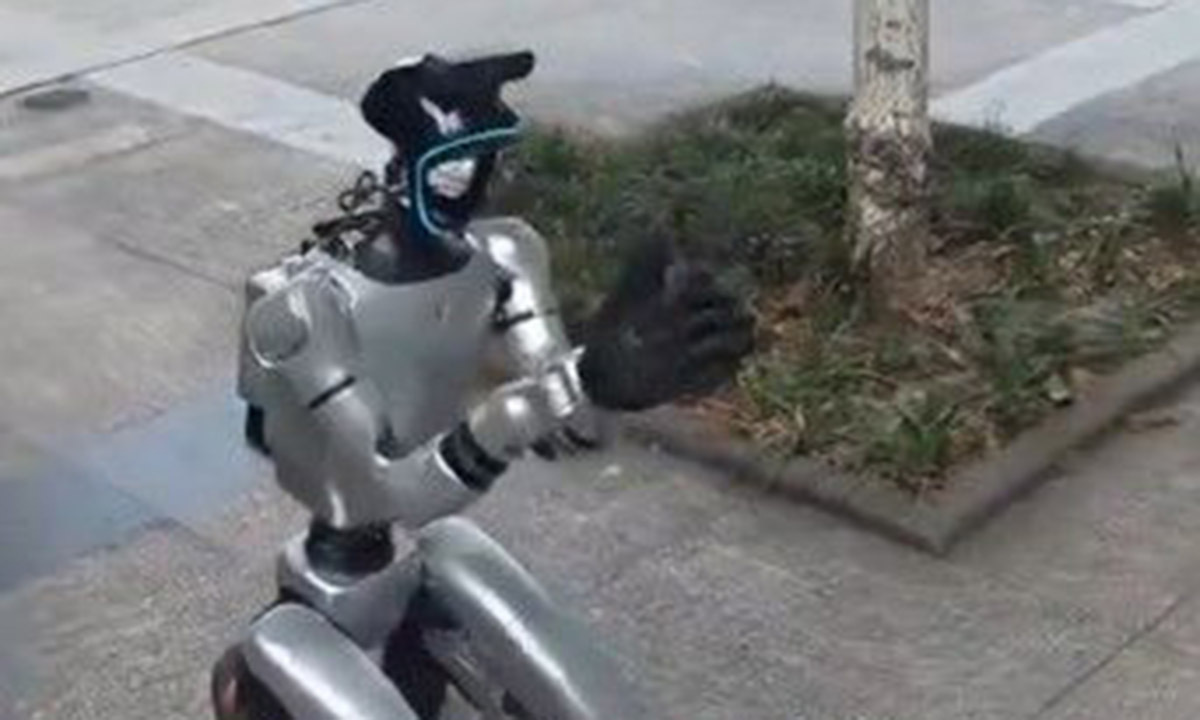 사진 이미지